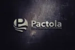 pactola logo