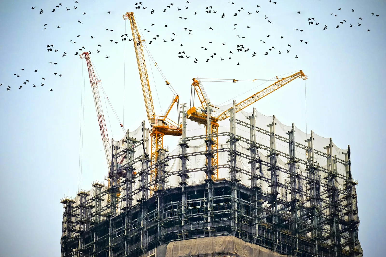 construction cranes