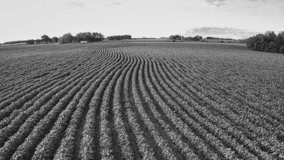 Agriculture Loan Servicing Software