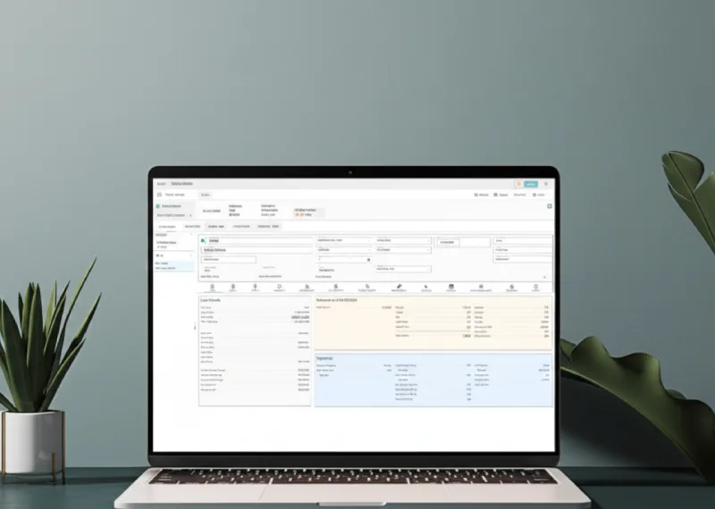 Nortridge Loan System loan management dashboard showing borrower account and payment details